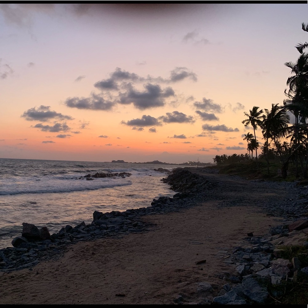 Meet your Posher, Genesis